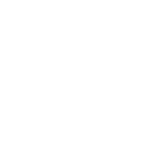Customized Services